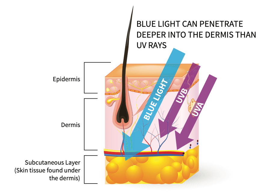 Blue Light Infographic