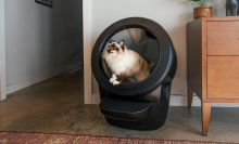 Cat sitting inside black Litter-Robot in room with furniture and rug