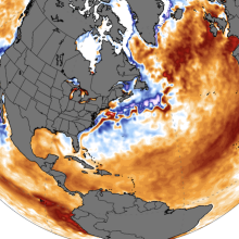 A globe showing anomalously warm temperatures in the Pacific and Atlantic oceans in mid-June 2023.